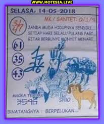 1 New Message Forum Syair Hk Selasa 14 Mei 2019 Forum Syair Togel Hongkong Singapura Sydney