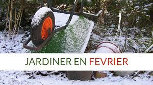 Que Semer En Fevrier En 2020 Idees De Jardinage Astuce Jardinage Jardinage
