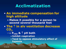 نتیجه جستجوی لغت [acclimatized] در گوگل