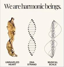 Humans are harmonic beings connected to vibration