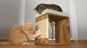 Katzen Kratzwurfel Selber Bauen Anleitung Katzenmobel Katzen Katzen Zeug