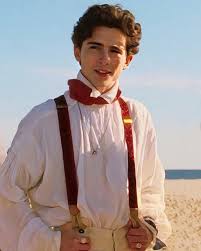 Timothée hal chalamet is an american actor. Timothee Chalamet Laurie And Little Women Image 7795151 On Favim Com