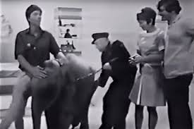 Stopwatch etc, bbc darts, kickstart, crufts, the office, this morning. 50 Years Ago A Baby Elephant Brings British Tv To A Standstill