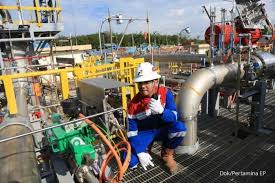 Pt pertamina ep sebagai tindak lanjut dari uu migas no. Pertamina Ep Mengandalkan Metode Eor