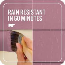 Image result for Pink 1983 Amana