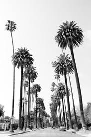 Large Black And White Framed Prints Pin On Black And White Wall