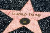 Image result for hollywood walk of shame