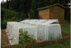 Des Serres De Jardin Pour Cultiver Ses Legumes Serre Jardin Serre De Jardin Tunnel