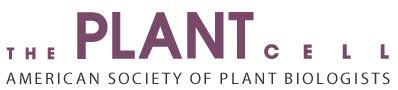 Maybe you would like to learn more about one of these? Plantum Leaps To The Future Of Plant Biology The Plant Cell Introduces Breakthrough Reports Plant Science Today