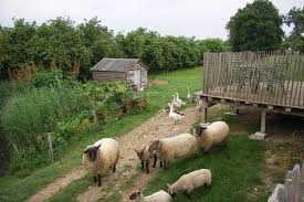 Jours et horaires d'arrivée et de départ flexibles. Grand Gite 10 Personnes Plages Du Debarquement Calvados Normandie