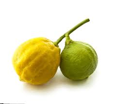 Bergamot oil is known to intensify the effects of photosensitizing drugs, further increasing the risk of skin inflammation, rash, and blistering. Bergamotte Erntezeit In Kalabrien Beginnt
