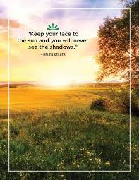 46 Greatest Sunshine Quotes Everyday Inspiration About Sunshine