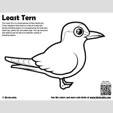 We did not find results for: Cute Bird Coloring Pages By Birdorable Free Downloads