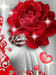 Google Flores Animadas Rosas Rosas Rojas