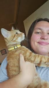 Abandoned cat finds new home and love after rescue