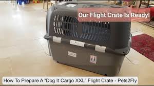 We did not find results for: Pet Travel Crate How To Prepare A Dog It Cargo Flight Crate Youtube