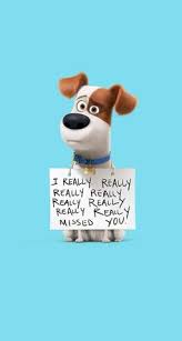 The value you entered for order/ticket number is not valid; 89 Secret Life Of Pets Ideas Secret Life Of Pets Secret Life Pets