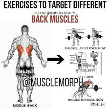 Check spelling or type a new query. All Back Muscles Workout Off 65
