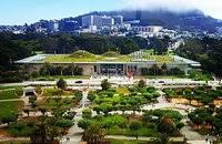 Pros & cons are excerpts from user reviews. De Young Museum San Francisco 2021 All You Need To Know Before You Go With Photos Tripadvisor