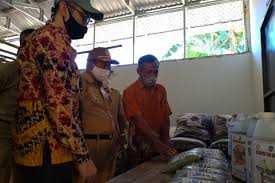 6 bulan masa transformasi transformasi tersebut dituangkan oleh anand krishna dalam. Bank Indonesia Kalsel Serahkan Gudang Penyimpanan Bawang Merah Antara News Kalimantan Selatan