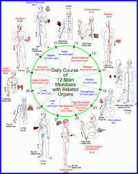 Perceive Believe The Idiot S Guide To Taoist Alchemy Qigong Shiatsu Massage Acupuncture Qigong