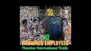 Pintex internationalpintex international, shed no. Logo Pt Pintex Modeling Breast Cancer In Vivo And Ex Vivo Reveals An Essential Role Of Pin1 In Tumorigenesis The Embo Journal Embellish With Design Objects Illustrations And More