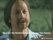 This is until he meets lucy whitmore. Rob Schneider 50 First Dates Gifs Tenor