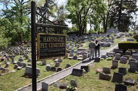 We did not find results for: This Is What It S Like To Run A Pet Cemetery As Your Family Business Huffpost Life