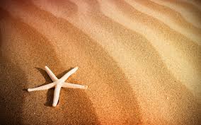Maybe you would like to learn more about one of these? Beautiful Beach Sand Wallpaper 22205 1920x1200px