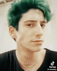 Lily's Driftwood Bay