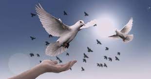 Dengan mata pelajaran yang sangat dominan di semua sekolah adalah keagamaan, salah satunya yaitu mapel pendidikan agama kristen kelas 4. Soal Ujian Ulangan Semester 1 Pendidikan Agama Kristen Kelas 4 Sekolah Dasar Sd Rifanfajrin Com