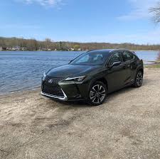 Image result for Caviar 2020 UX