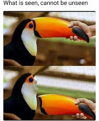 Dopl3r Com Memes What Is Seen Cannot Be Unseen