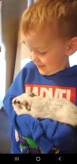 It warms my heart to see the pig get a much deserved rest in Stardew Valley