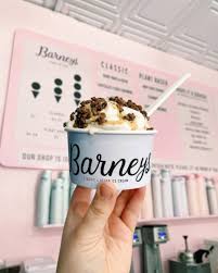 These sophisticated ice cream sandwiches are filled with chocolate. 19 Spots To Get Dairy Free Vegan Ice Cream In Wny Step Out Buffalo