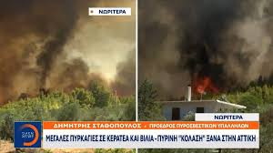 I fotografia tou leonida koutsopoulou me tin syntrofo tou xrysa michalopoulou apo ton teliko Nrlggy02zboxtm