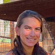 Best Cat Sitters in Fort Mcdowell, AZ