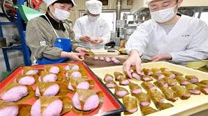 Nah, dari sekian banyak pilihan di pasaran, sebenarnya mana sih makanan terbaik untuk ikan cupang? Musim Bunga Sakura Tiba Saatnya Kue Mochi Bermunculan Di Jepang Tribunnews Com Mobile