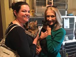 2981 penn ave, marianna, fl 32448. Courtney And Catherine Came In To Find A Partners For Pets Marianna Fl Facebook