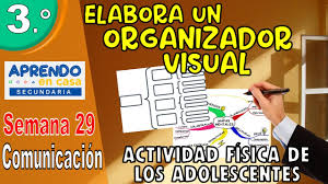 Elabora Un Organizador Visual Insuficiente Actividad Fisica Aprendo En Casa Secundaria Semana 29 Youtube