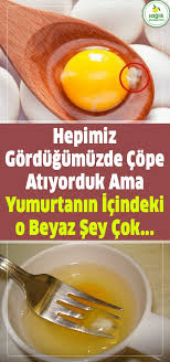 Yumurtanin Icerisindeki O Esrarengiz Ip Gibi Sey Nedir Yeme Icme Saglik Saglikli Icecekler