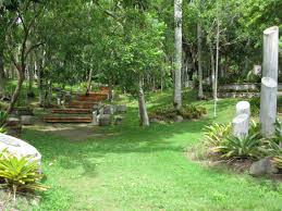 Escalinata En El Jardin Botanico Santo Domingo Republica Dominicana Www Seguridadconductor Com Outdoor Plants Outdoor Decor