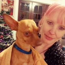 Lost chihuahua near Santa Fe and Ohio