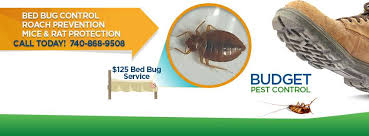 Budget control, incноябрь 17, 2019. Budget Pest Control Home Facebook