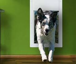 electronic doggy door dog door automatic dog door electric dog door