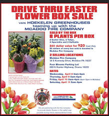 Art bouquet, flowers, ideal for birthday, same day delivery, tulips. Us Pa Grower Bounces Back After Last Minute Cancellations
