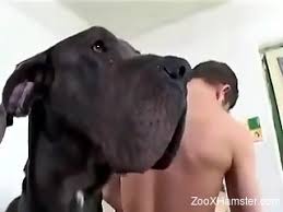 Le porno zoophile, c'est top ! Home Zoophilia Porn Between The Maid And The Dog