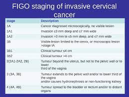 It happens in the cervix cells, which is the lower the most common warning signs of cervical cancer is untimely vaginal bleeding. Prezentaciya Cervix And Uteri Cancer During Pregnancy