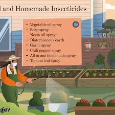 8 Natural Homemade Insecticides Save Your Garden Without Killing The Earth