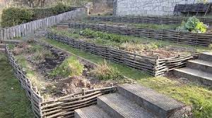 chataignier plessis retenue de talus creation retenue de berge patager astucejardinage fleurj sloped garden hillside landscaping forest garden